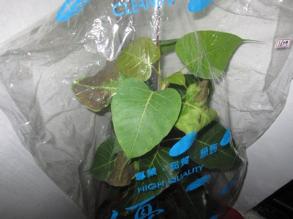 开云电竞官方网站