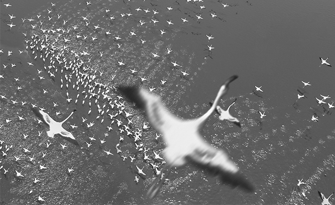 肯尼亚内罗毕警方抓捕77名中国人 称涉嫌金融诈骗“开云电竞官方网站”(图3) 开云电竞官方网站