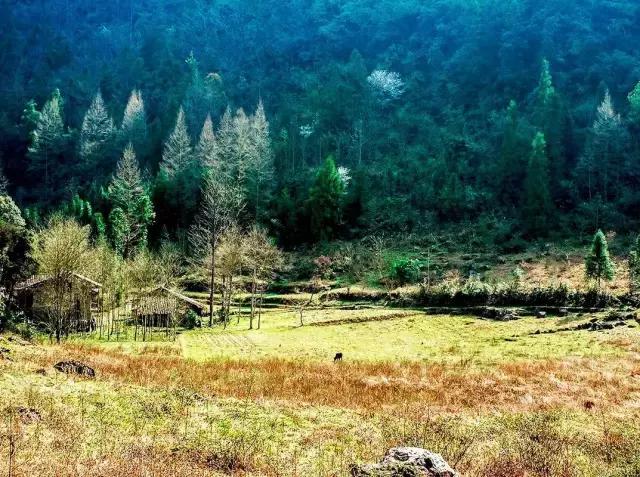 尼日利亚乔斯昨日发生连环爆炸案 致30多人死亡:开云电竞官方网站(图1) 开云电竞官网