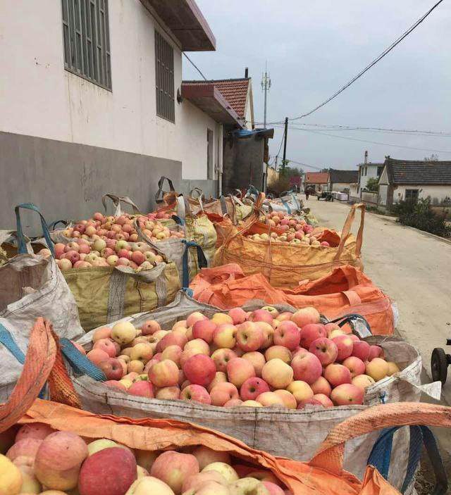 我国畜牧行业的转型升级,辩证看!|开云电竞官方网站(图3) 开云电竞