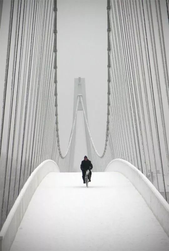 开云电竞:资本大举杀入甲鱼养殖业这轮鳖行情还能憋多久(图1) 开云电竞官网