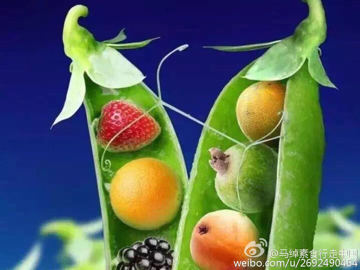 开云电竞|欧盟2017年将取消手机漫游费 解读28成员国如何做到(图1) 开云电竞官网