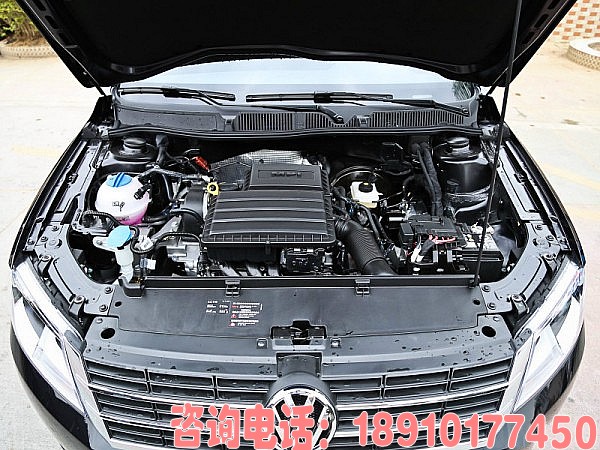 开云电竞_禽流感现黄河三门峡库区 近百只野生鸟类死亡(图2) 开云电竞