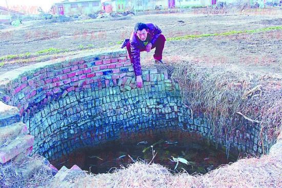 【开云电竞】上半年湖南生猪及相关制品出口呈现高速增长态势(图3) 开云电竞