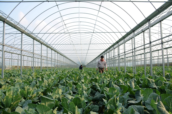 “开云电竞官网”莱万多夫斯基当选波兰足球先生(图4) 开云电竞官网