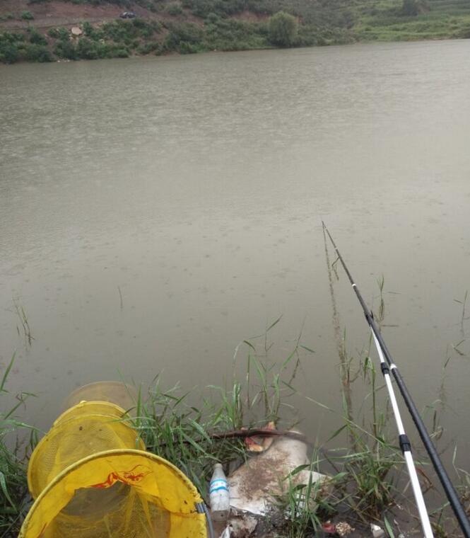 日本樱岛火山性地震超千次 或有大规模火山喷发_开云电竞(图3) 开云电竞