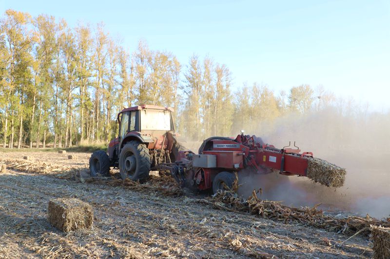 开云电竞官网-韩国首尔打压整容广告 地铁站及巴士都将减少(图1) 开云电竞官方网站