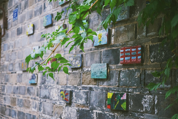 开云电竞_浙江推出养猪生产成本收益预警办法(图1) 开云电竞官方网站