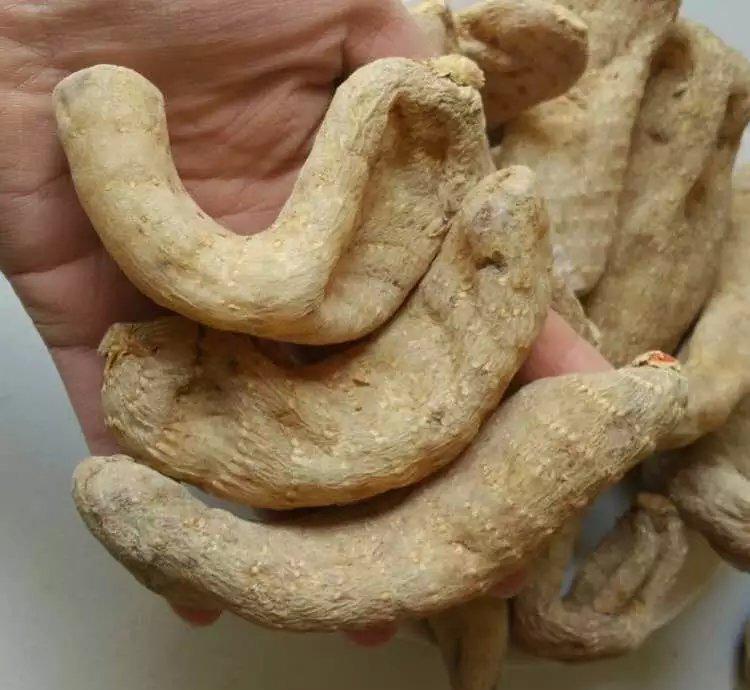 湖北:松滋畜牧力推现代复合养殖:开云电竞(图2) 开云电竞官网