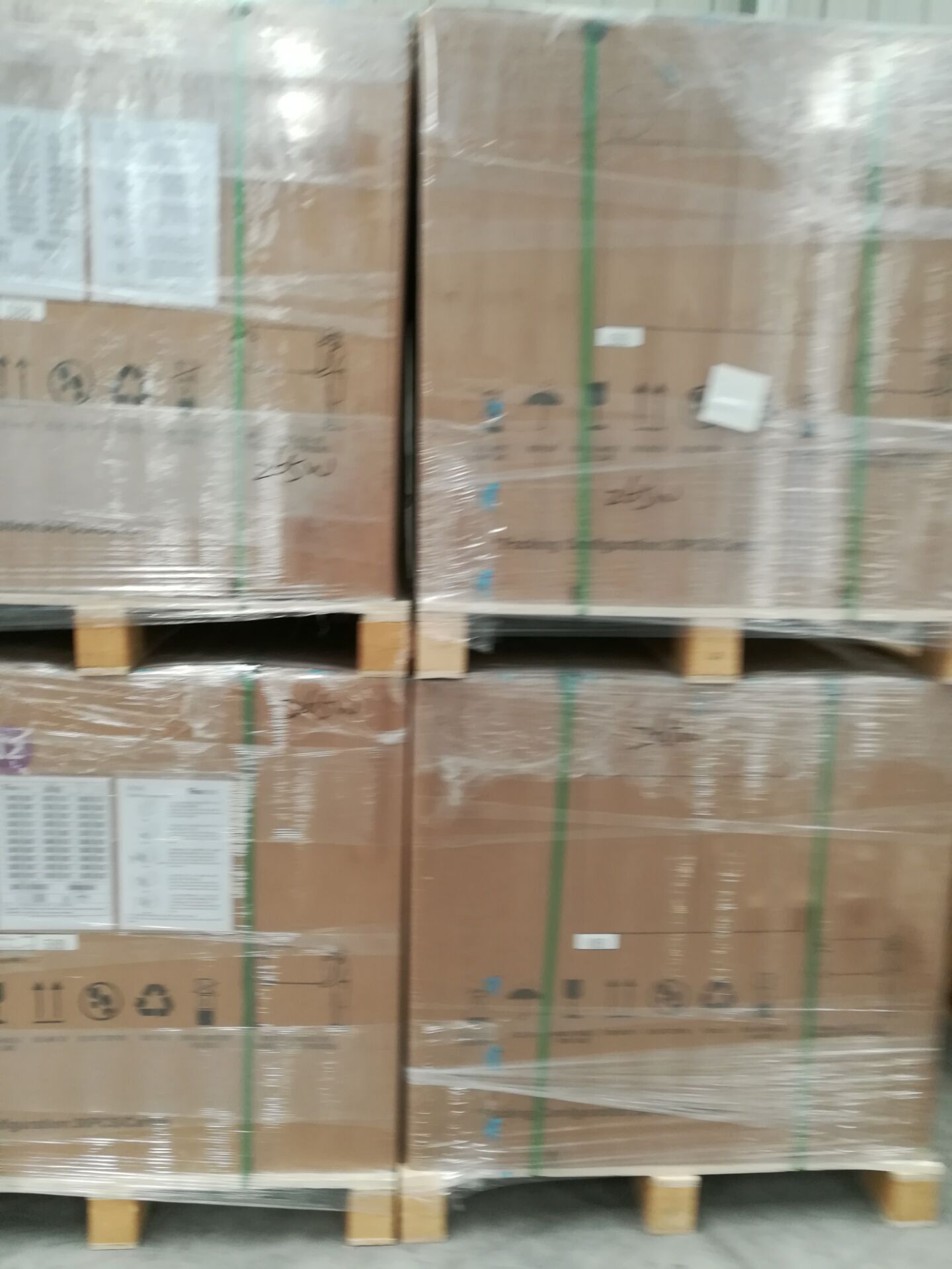 “丁氏猪”出世“武钢猪”投胎“开云电竞”(图1) 开云电竞