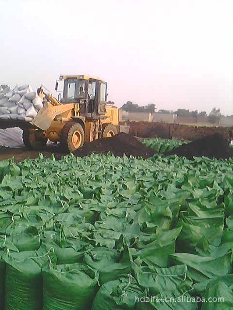 马里奥·戈麦斯盼终老斯图加特‘开云电竞’(图1) 开云电竞官方网站