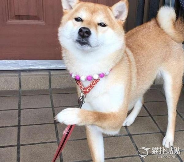 【开云电竞官方网站】朗尼克:拜仁的青训计划让我们面临更大挑战(图3) 开云电竞官网