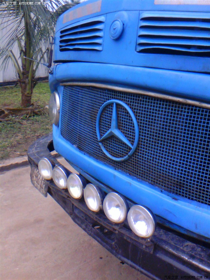 安徽百万头能繁母猪上保险_开云电竞官网(图2) 开云电竞