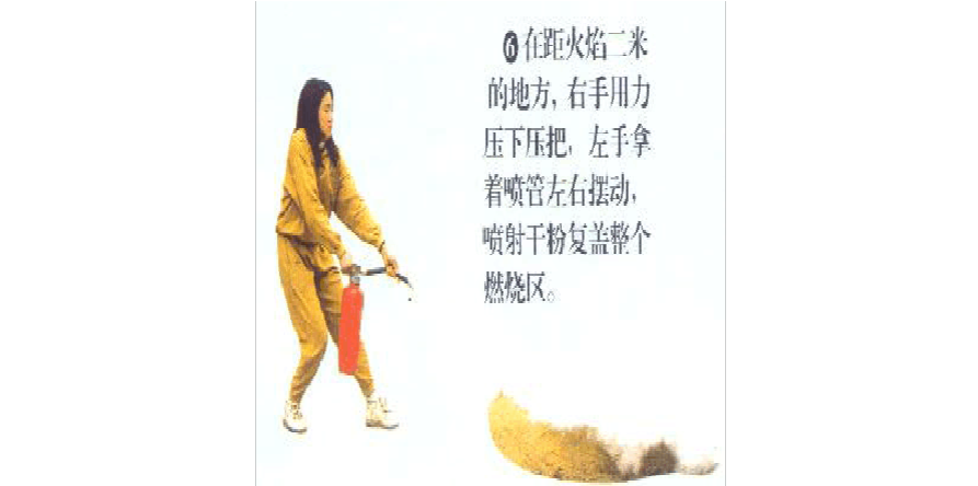 安徽百万头能繁母猪上保险_开云电竞官网(图1) 开云电竞