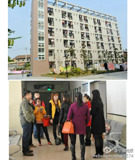 消费者“亲自”养猪的无奈【开云电竞官方网站】(图2) 开云电竞