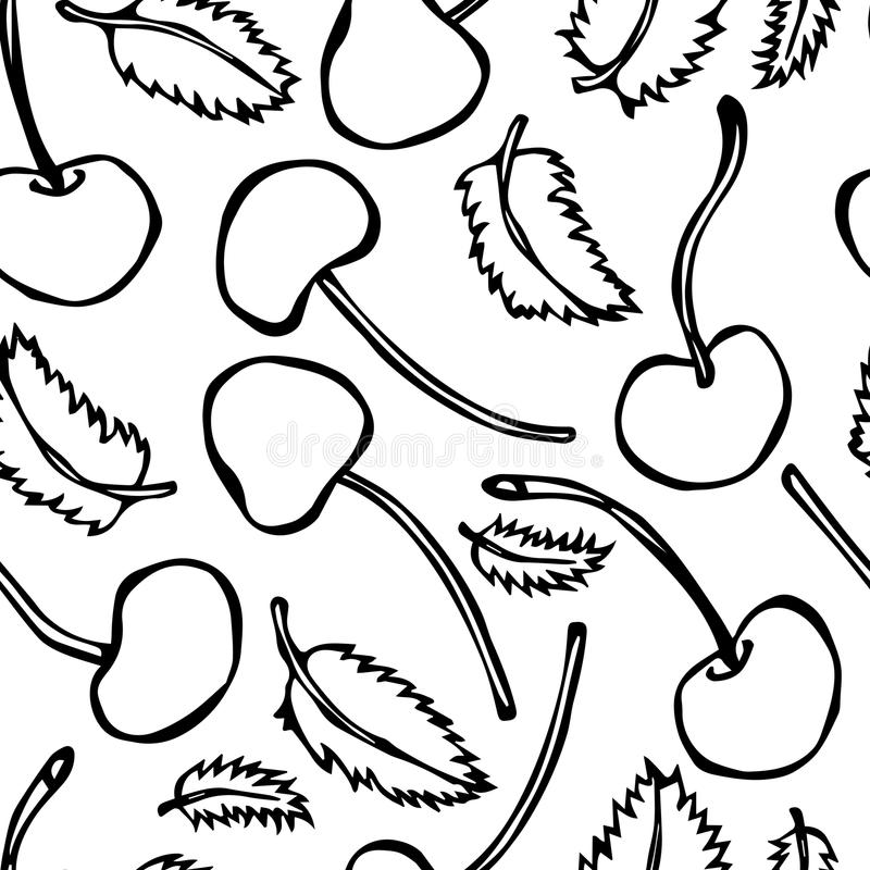 ‘开云电竞官方网站’俄空天军总司令:苏-24事件是阴谋 肇事者将遭到惩罚(图2) 开云电竞