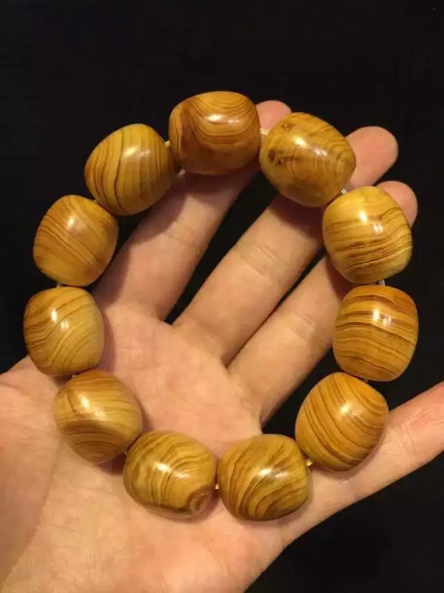 开云电竞|越南村民养虎当副业丛林之王待与猪无异(图3) 开云电竞官方网站