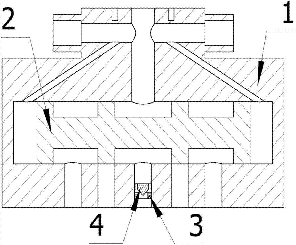 拜仁北美挖角成瘾 百万美元引进大联盟后卫新星【开云电竞官网】(图4) 开云电竞官方网站