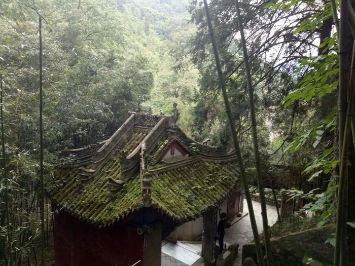 拜仁北美挖角成瘾 百万美元引进大联盟后卫新星【开云电竞官网】(图1) 开云电竞官网