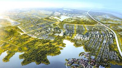 开云电竞官方网站