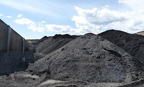 开云电竞官方网站