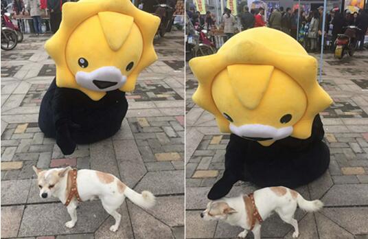 “开云电竞”乌克兰挑选“高颜值”新警察上岗取代旧警察(图)(图2) 开云电竞官方网站