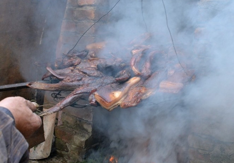 开云电竞官方网站