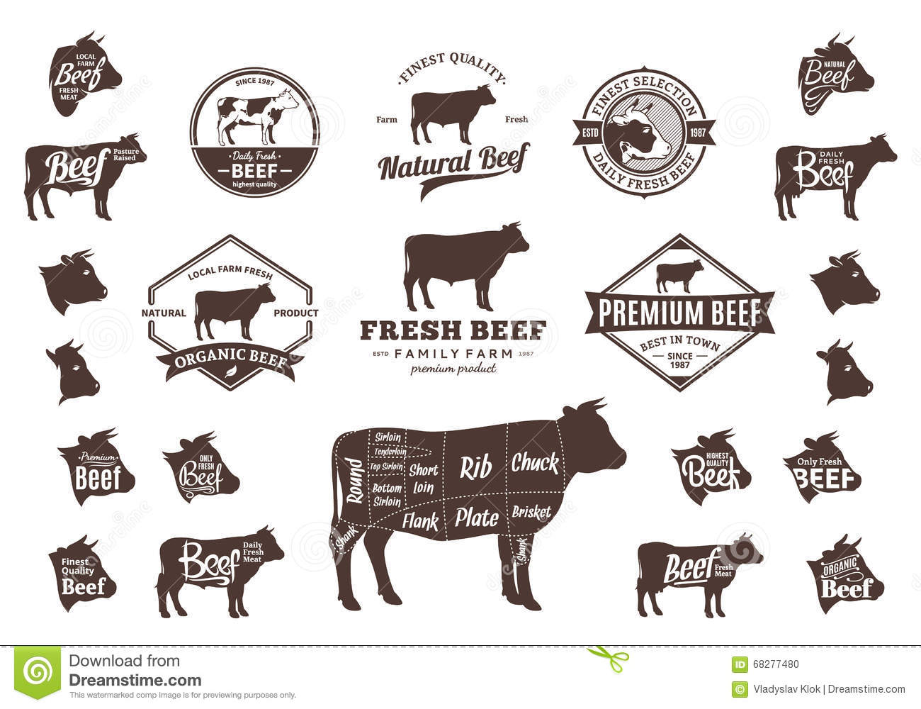 开云电竞官方网站