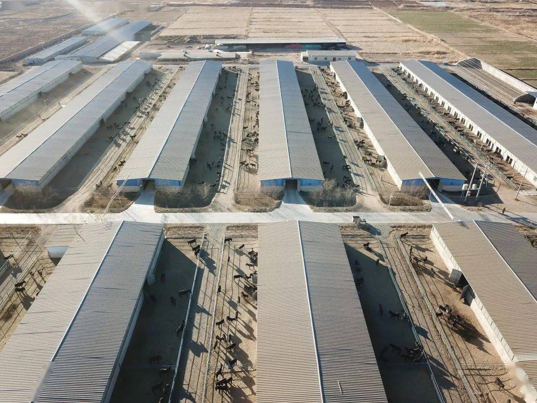 开云电竞官方网站_
普济、濟尤物系列产物入选《专精特新品牌名录》(图8)