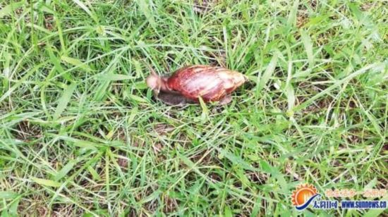 开云电竞官方网站