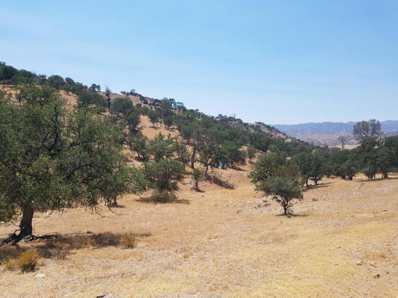 “开云电竞”25日德甲推荐:门兴格拉德巴赫VS汉诺威96(图4) 开云电竞