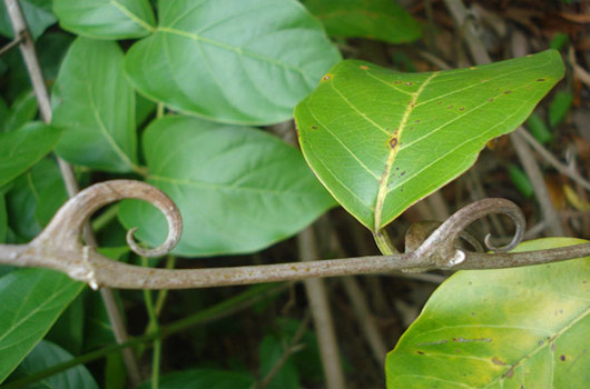 韩国军方时隔11年重启对朝喇叭广播对抗朝鲜挑衅‘开云电竞’(图2) 开云电竞