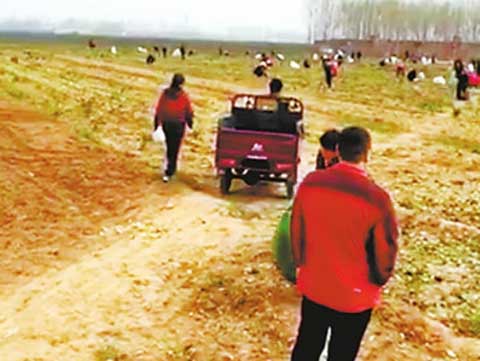 【开云电竞官方网站】球星相遇!拜仁众球星与德约科维奇合影(图3) 开云电竞官网