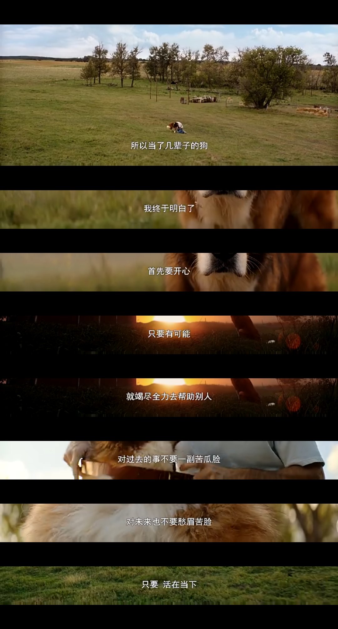 美国大选首战结果出炉 希拉里险胜桑德斯:开云电竞官网(图3) 开云电竞