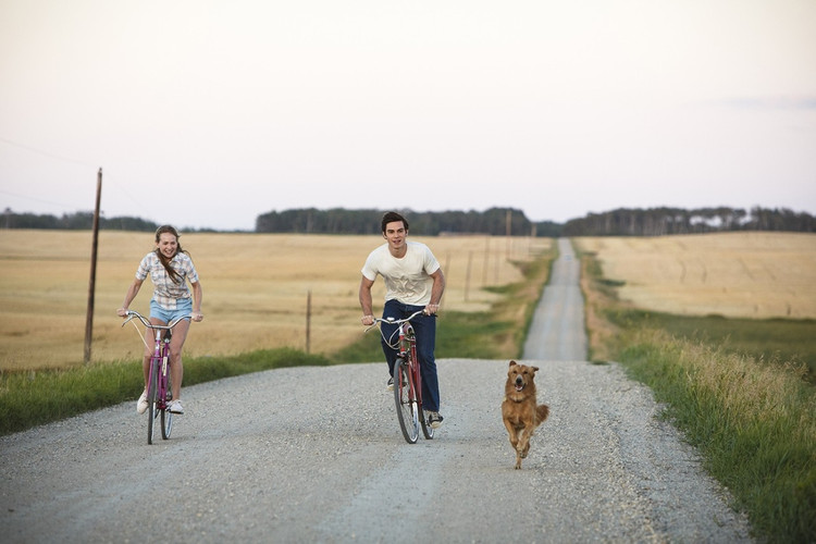 11日德甲推荐:杜塞尔多夫vs法兰克福“开云电竞”(图1) 开云电竞