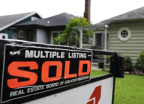 【开云电竞官方网站】90后养猪户的困惑:养猪场的封闭生活有什么意义?我到底要不要去?(图4) 开云电竞