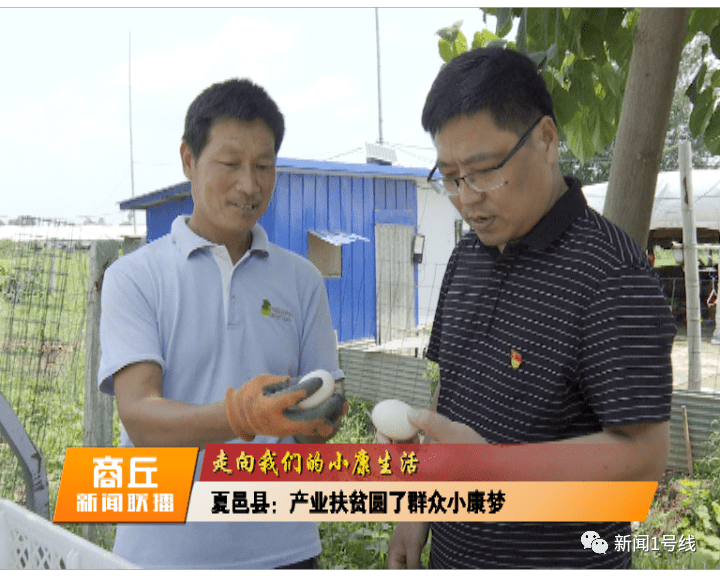 开云电竞官网-*
【走向我们的小康生活】 夏邑县：工业扶贫圆了群众小康梦(图2)