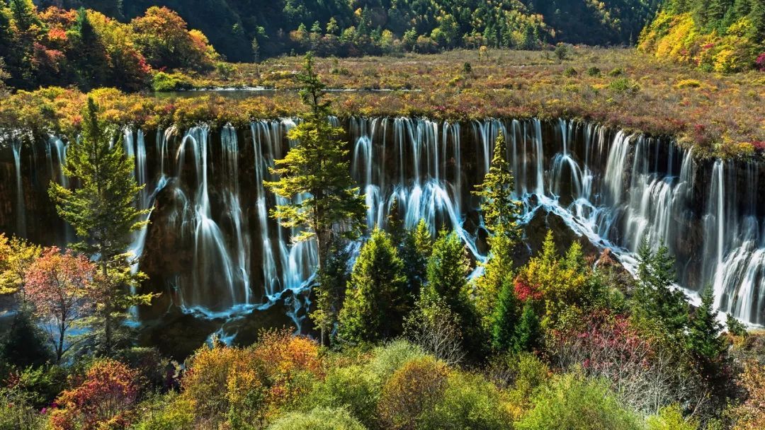 开云电竞官方网站