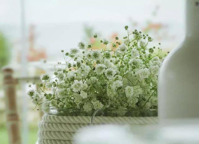 “开云电竞”13日德甲推荐:奥格斯堡VS多特蒙德(图2) 开云电竞官网