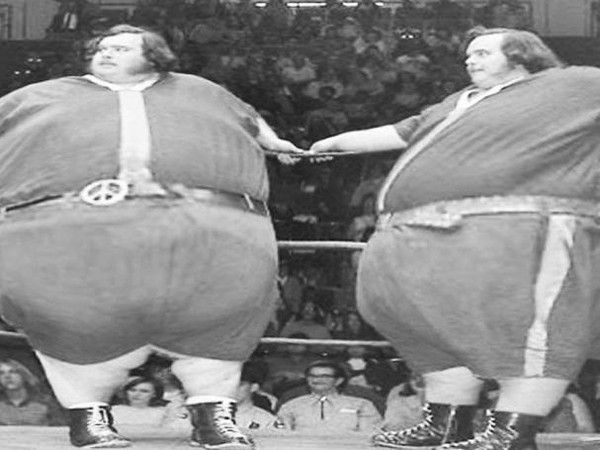 最新2015年国际猪疫情动态-开云电竞官方网站(图1) 开云电竞官方网站