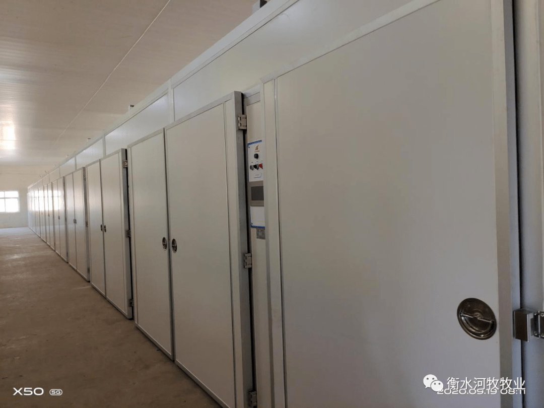 河牧牧业孵化扩建有序举行中|开云电竞官方网站(图2)
河牧牧业孵化扩建有序举行中|开云电竞官方网站(图2)