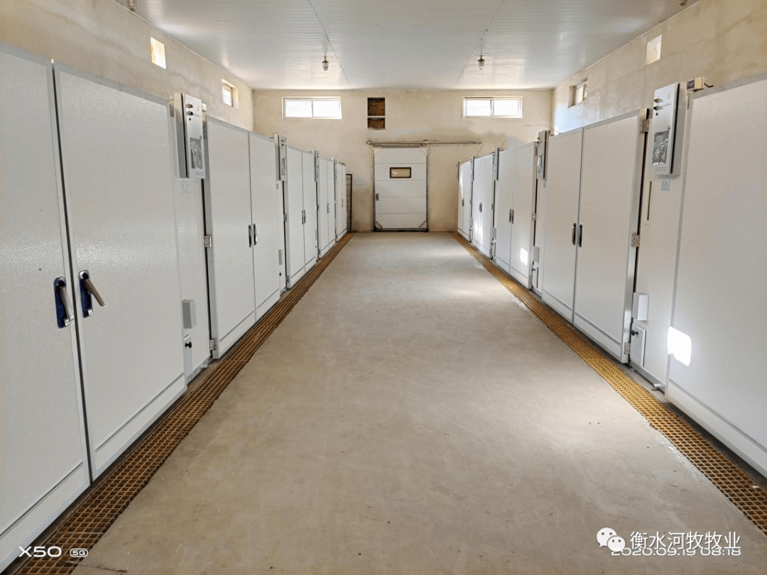 河牧牧业孵化扩建有序举行中|开云电竞官方网站(图3)
河牧牧业孵化扩建有序举行中|开云电竞官方网站(图3)