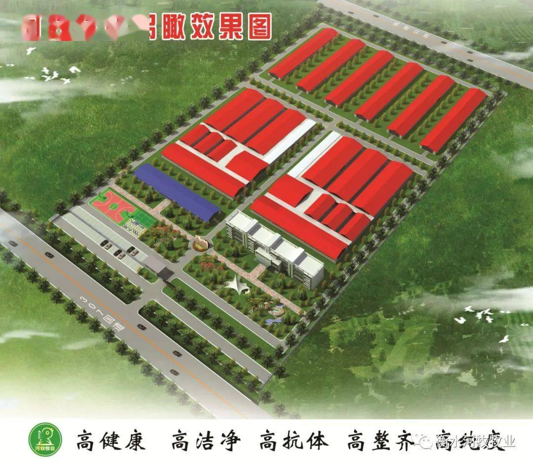 河牧牧业孵化扩建有序举行中|开云电竞官方网站(图5)
河牧牧业孵化扩建有序举行中|开云电竞官方网站(图5)