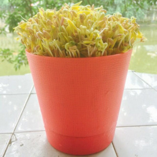 郑州惠济区2019年小学入学须知划片规模报名资料_开云电竞官方网站(图2) 开云电竞官方网站