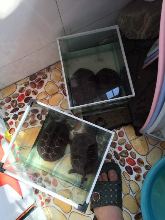 ‘开云电竞官网’劳尔:换帅不影响我的合同nbsp;要为沙尔克夺双杯(图2) 开云电竞