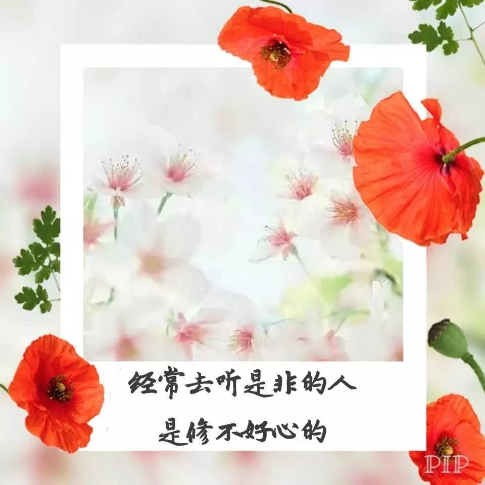 ‘开云电竞官方网站’药厂主场零封拜仁314分钟(图4) 开云电竞