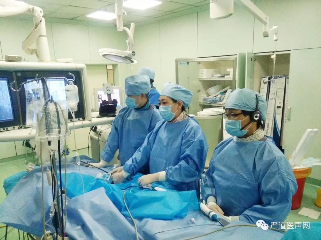 开云电竞官方网站