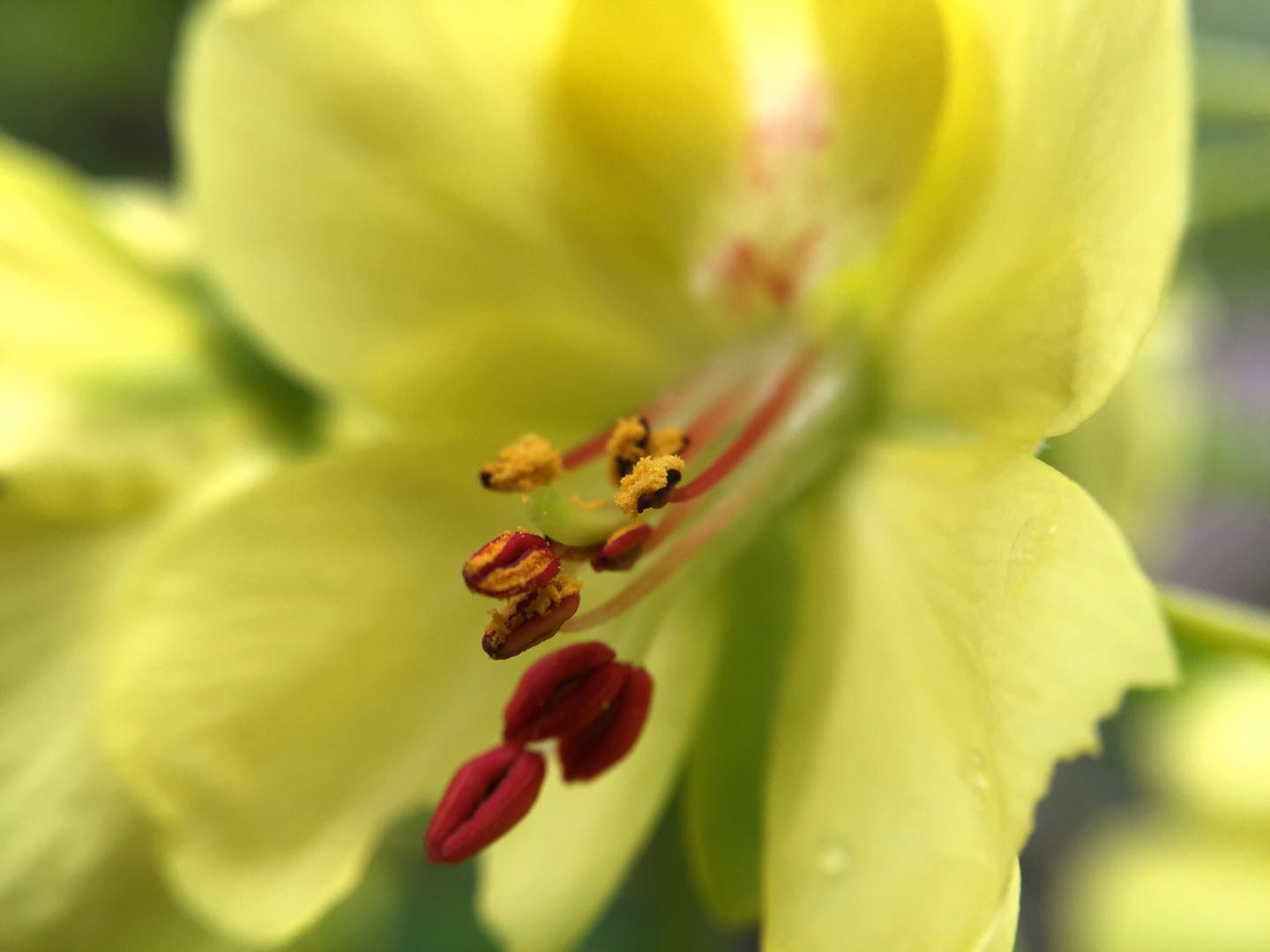 开云电竞官方网站