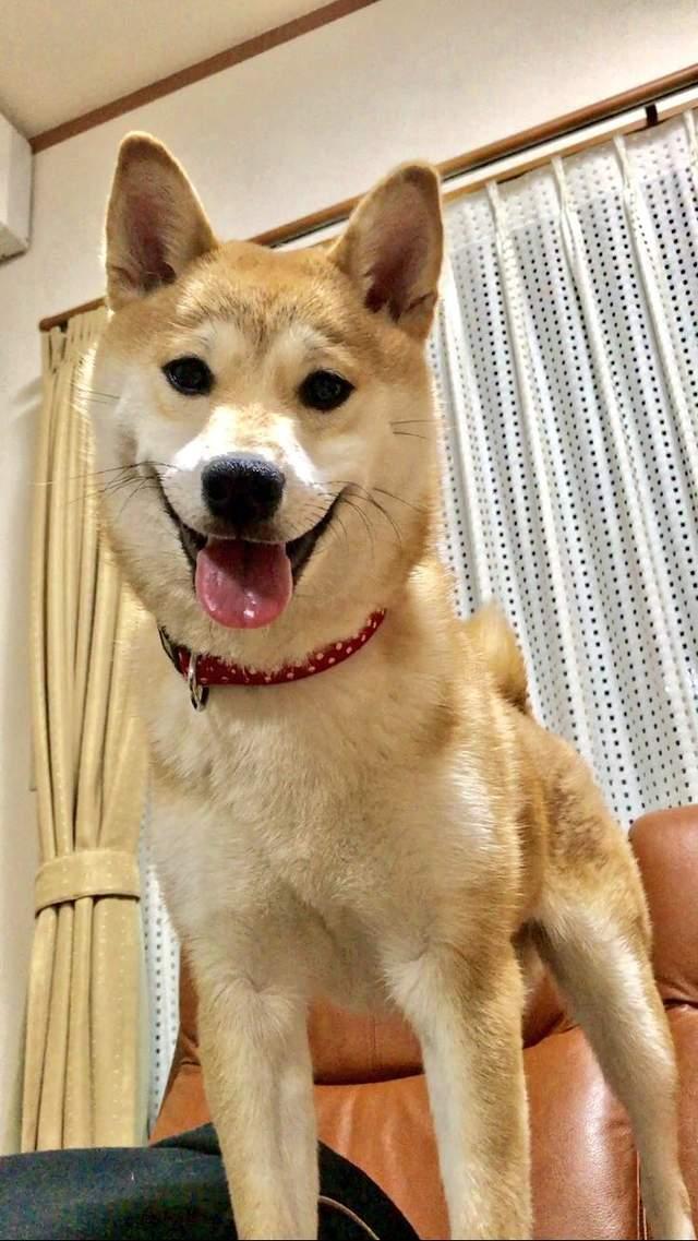 开云电竞官方网站