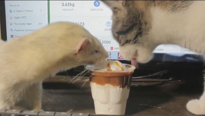 开云电竞官方网站